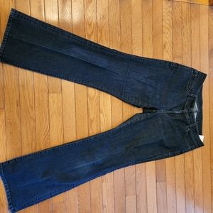 Ann Taylor Jeans